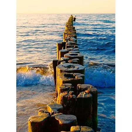 Comfortable * Бёргеренде-Ретвиш