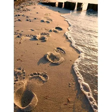 Comfortable Дом отдыха *